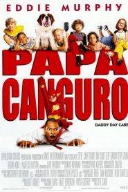 Papá canguro
