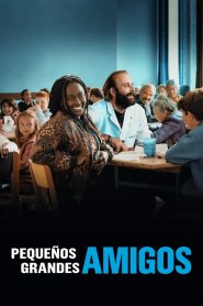 Pequeños grandes amigos