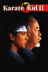 Karate Kid 2: La historia continúa