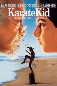 Karate Kid: el momento de la verdad