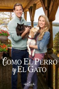 Como el perro y el gato