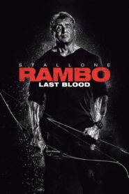 Rambo: la última misión